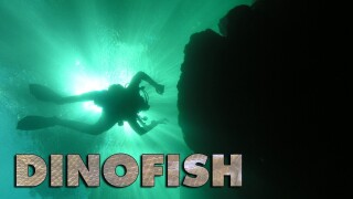Dinofish