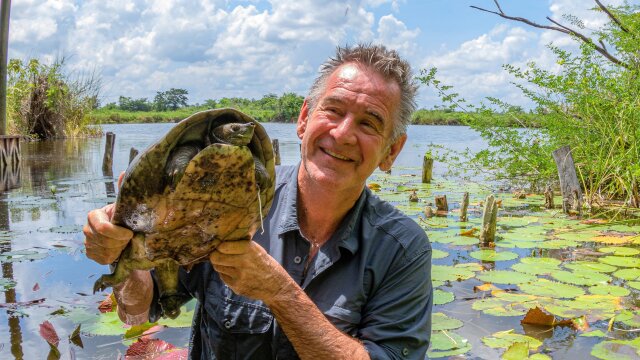 Wild Guatemala