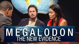Megalodon: The New Evidence
