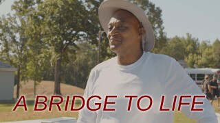 A Bridge to Life