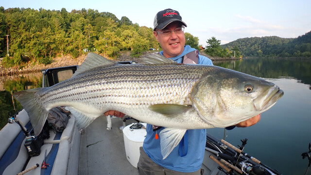 Fall Channel Catfish Tactics - In-Fisherman