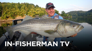 In Fisherman TV