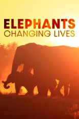 Elephants: Changing Lives