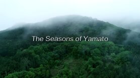 The Seasons of Yamato