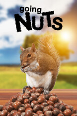 Going Nuts: Tales From the Squirrel World