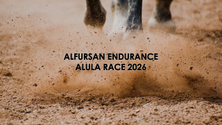 AlFursan Endurance AlUla Race 2026 Highlights