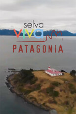 Selva viva: Patagonia