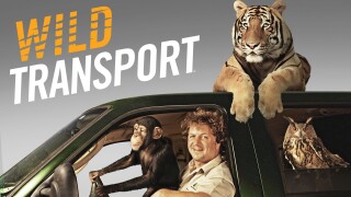 Wild Transport
