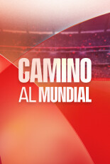 Camino al Mundial