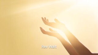 Rev Walt