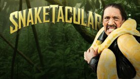 Snaketacular