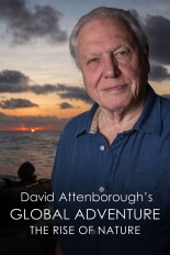 David Attenborough's Global Adventure: The Rise of Nature