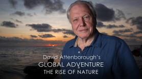 David Attenborough's Global Adventure: The Rise of Nature