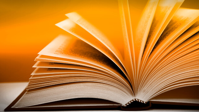 Joseph Lee, Nothing More of This Land