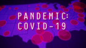 Pandemic: COVID-19