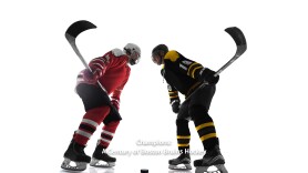 Champions: A Century of Boston Bruins Hockey