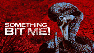 Something Bit Me!