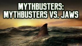 Mythbusters: Mythbusters Vs. Jaws