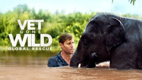 Vet Gone Wild: Global Rescue