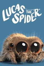 Lucas the Spider