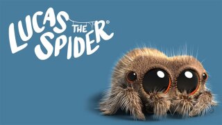 Lucas the Spider