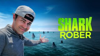 Shark Rober