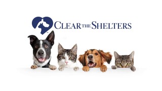 Clear the Shelters