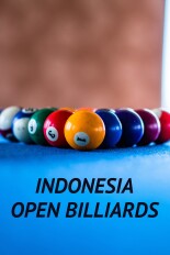 Indonesia Open Billiards