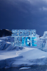 Secrets in the Ice