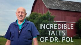 Incredible Tales From Dr. Pol