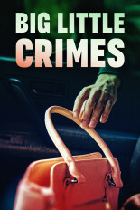 Big Little Crimes