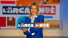 L'arca di Noè