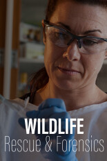 Wildlife Rescue and Forensics