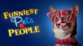 Funniest Pets & People