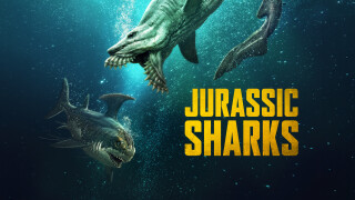 Jurassic Sharks