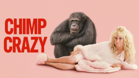 Chimp Crazy