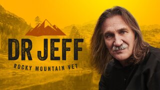 Dr. Jeff: Rocky Mountain Vet