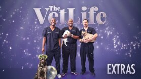 The Vet Life: Extras