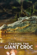 Chasing the Giant Croc
