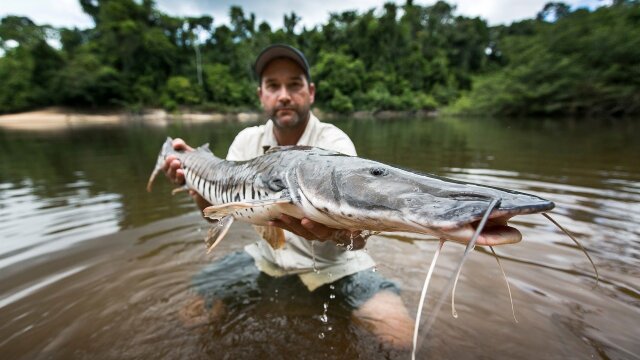 Watch Monster Fish of America Online Streaming