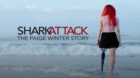 Shark Attack Investigation: The Paige Winter Story