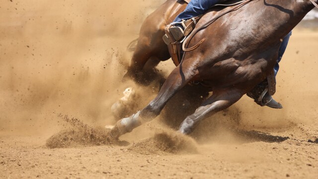 Magic Valley Stampede