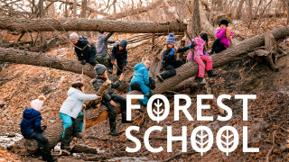 Forest School