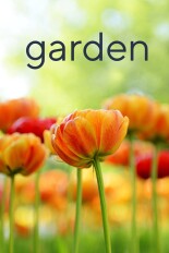 Garden Guide