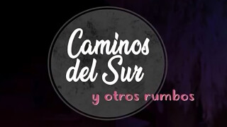 Caminos del sur y otros rumbos