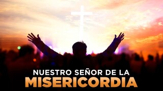 Nuestro Señor de la Misericordia