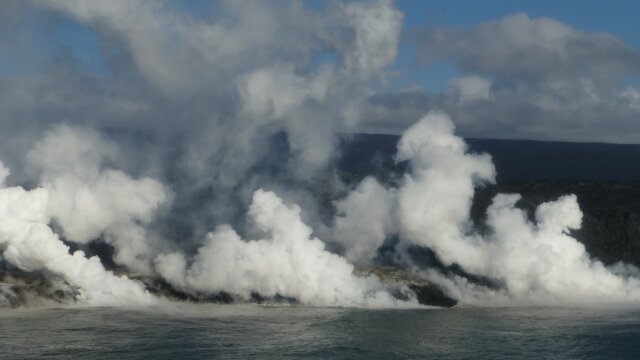 Wild Hawaii