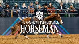 The American Performance Horseman