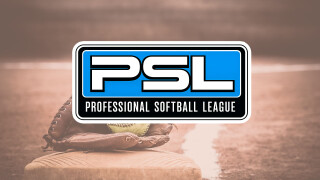 Professional Softball League