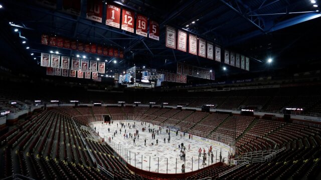 The Joe: The Detroit Red Wings and Joe Louis Arena